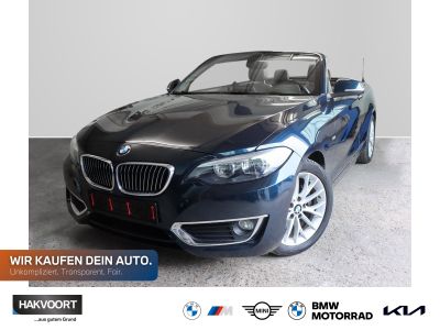 BMW 220i Luxury Line Leder Klima PDC 17 LM