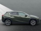 LEXUS UX 250h*FSPORT-D*1.HD*ALLW.REIF*SHZ* NAVI*CARPL*
