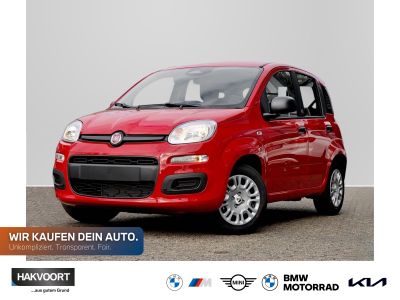FIAT New Panda Pandina Pop