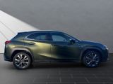 LEXUS UX UX250h*F-SPORT-D.*1HD*NAVI*SHZ 15J-GARANTIE*
