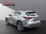 LEXUS NX 450h + Executive Interieur + Technologie Pano