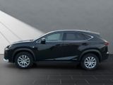 LEXUS NX 300 h*FSPORT*4x4*1HD*SCHIEBD*HUD 15J-GARANTIE