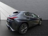 LEXUS UX 250h*FSPORT-D.*ALLW.*1HD*NAVI* 15J-GARANTIE*