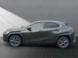 LEXUS UX 250h*F-SPORT-D*1.HD*ALLW.REIF*NAVI*SHZ*