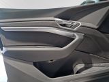 AUDI Q8 e-tron 55 quattro Advanced Navi+ Matrix-LED