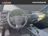 LEXUS UX 250h 250 h 250h*LED*KAMERA* TOP*TWW*DAB*SERVI