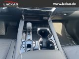 LEXUS RX 450 h+ F Sport Design Panoramedach