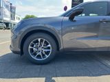 LEXUS LBX Basis*1.5*KOMFORT-PAK.*SHZ 15J-GARANTIE