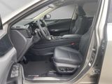 LEXUS NX 450h + Business 4x4+SITZBELÜF.+SHZ hinten+360