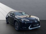 LEXUS UX 250h*EXECUTIVE*PANO*PREMIUM*1HD*PANO* HUD*