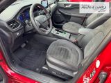 FORD Kuga Plug-In Hybrid ST-Line X HUD AHK-klappbar El. Panodach Navi Leder Digitales Cockpit