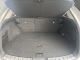 LEXUS NX 350h Executive Line Interieur+Technologie Pak