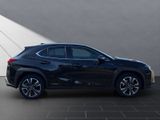 LEXUS UX 250h Style SHZ Kamera Alu