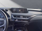 LEXUS UX 250 h Executive Line