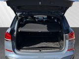 BMW X1 xDrive25e M-Sport h&k RFK HUD Navi+ DAB Lordose