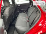 FORD Puma Titanium AHK-abnehmbar Allwetterreifen