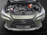 LEXUS NX 450h +4x4+Business+SITZ-BEL+AMBIENTEL+ SOFORT