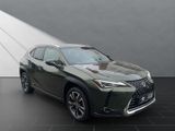 LEXUS UX 250H*1HAND*TOTW*SCHECKHEFT*