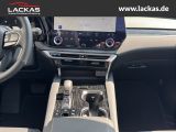 LEXUS RX 450 h +E-FOUR*F-SPORT*DESIGN *TOP*PANO*HUD*36