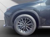 LEXUS NX 350h h 243 PS Executive Inter ieur Paket + Te