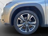 LEXUS UX 250h Style Edition SITZ&LENKRADHEIZUNG+DAB