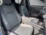 LEXUS UX 250h F Sport Design NAVI+KAMERA+ACC+LED+18"