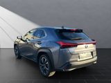 LEXUS UX 250 h STYLE Edition 15J-GARANTIE