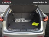 LEXUS NX 350h Executive interieur Paket +Technologie P