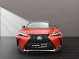 LEXUS UX 250h*F-SPORT-D*1.HD*ALLW.REIF*SHZ* NAVI*CARP*