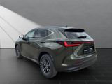 LEXUS NX 350h h 243 PS Executive Inter ieur Paket + Te