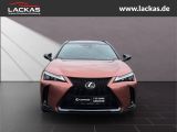 LEXUS UX 300h F-Sport Navi LED ACC Apple CarPlay