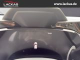 LEXUS NX 350h h Executive Interieur+Technologie Paket 