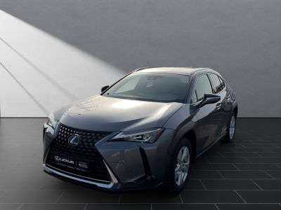 LEXUS UX 250 h*KAMERA*