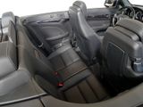 MERCEDES-BENZ E 220 Bluetec Cabrio KAMERA SPUR PDC SHZ