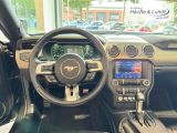FORD Mustang GT Convertible 5.0 Ti-VCT V8 EU6d-T Faltdach Navi Leder Soundsystem B & O Klimasitze