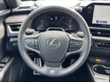 LEXUS UX 300h F-Sport E FOUR Schiebedach+360°+LEDER
