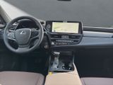 LEXUS ES 300 300h Business Line