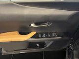LEXUS UX 250 h F-Sport Design Allwetter