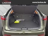LEXUS NX 350 h 15 Jahre Garantie Exec utive + Interieu