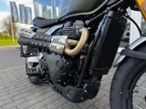 TRIUMPH Scrambler 900 MY26 Sofort Verfügbar!