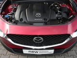 MAZDA CX-30 NAVI+PDC+RfK+SHZ+LHZ