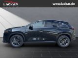 LEXUS NX 350h h 243 PS Executive Inter ieur Paket + Te