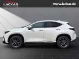 LEXUS NX 350h Executive interieur Paket + Technologie 