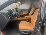 LEXUS NX 450h Executive, Interieur+Technologie Paket