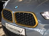 BMW X2 20iEdition Goldplay+Panorama+Navi+HUD+Leder