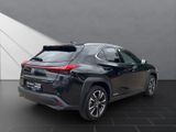 LEXUS UX 250h STYLE EDITION*LED*KAM* CARPLAY*GARANTIE