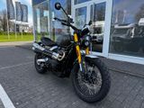 TRIUMPH Scrambler 900 MY26 Sofort Verfügbar!