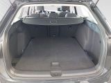 VW Golf VIII Life 1.5 TSI NAVI+SITZHZ+ACC+PDC+KLIMA