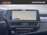 LEXUS ES 300 H*BUSINESS*LEDER*EL.SIT ZE*SCHIEBEDACH*