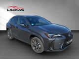 LEXUS UX 250h F-Sport D.*SHZ*CARPLAY* 15J.GARANTIE*